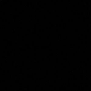 Meet your Posher, Remi